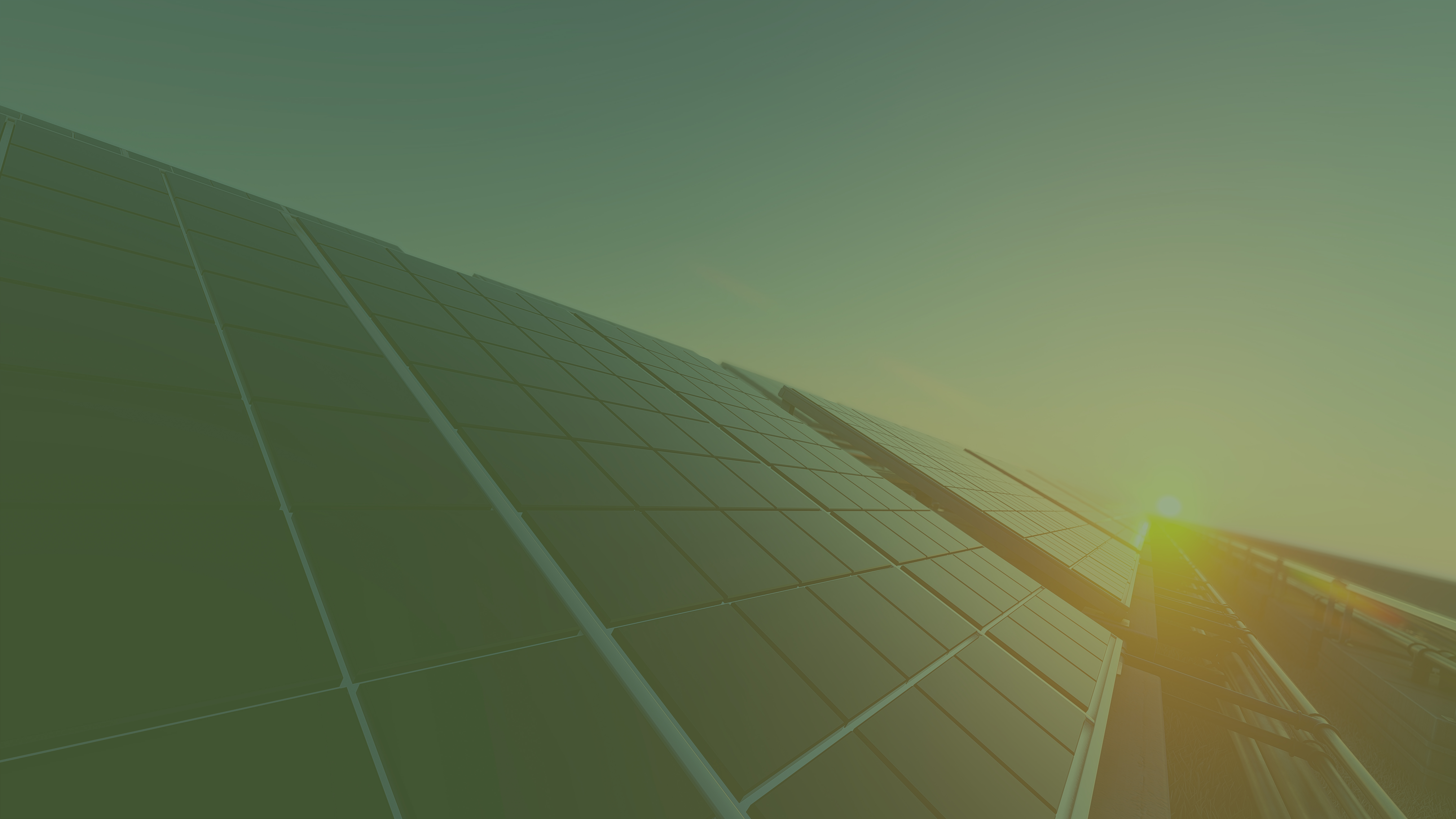 Solar panels installed by Novectra
